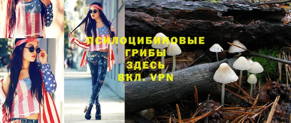 мет Елизово