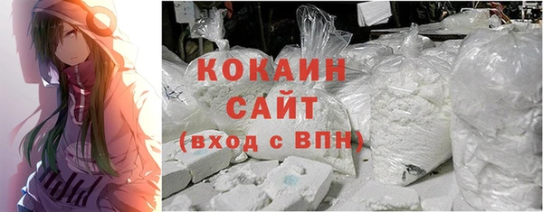 мет Елизово