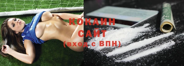 мет Елизово
