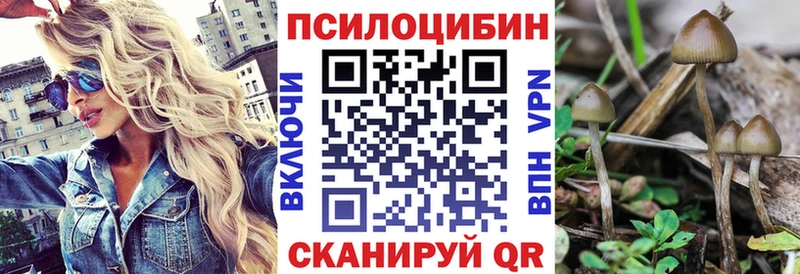 Купить где  Дюртюли  Галлюциногенные грибы Magic Shrooms 